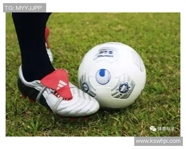 体育法律案例回顾