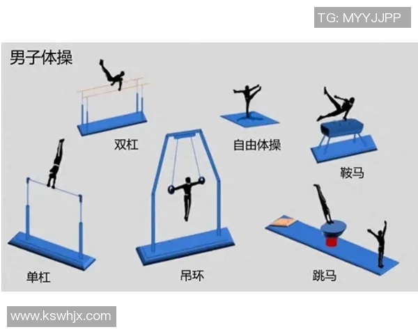 奥运会体操比赛难度动作解析与专业训练方法研究